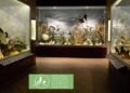 meteora museum