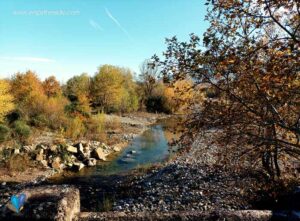 μαλακασιωτικο