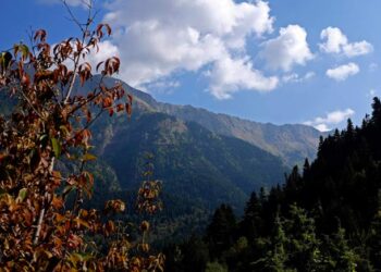 αθαμανια πινδος κακαρδιτσα