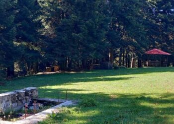 ξερολακας ολυμπος